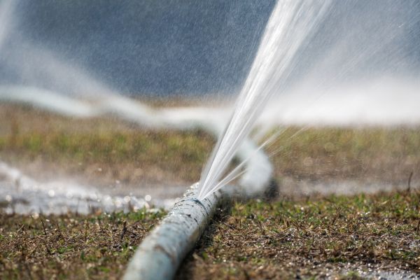 Sprinkler Pipe Maintenance
