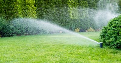 Sprinkler Water Line Repair