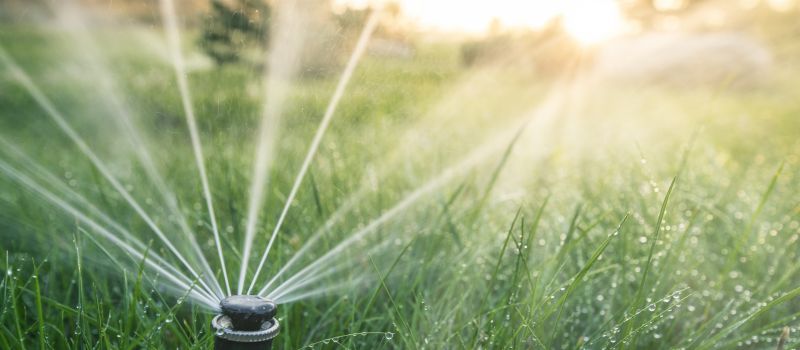 Sprinkler Water Line Repair